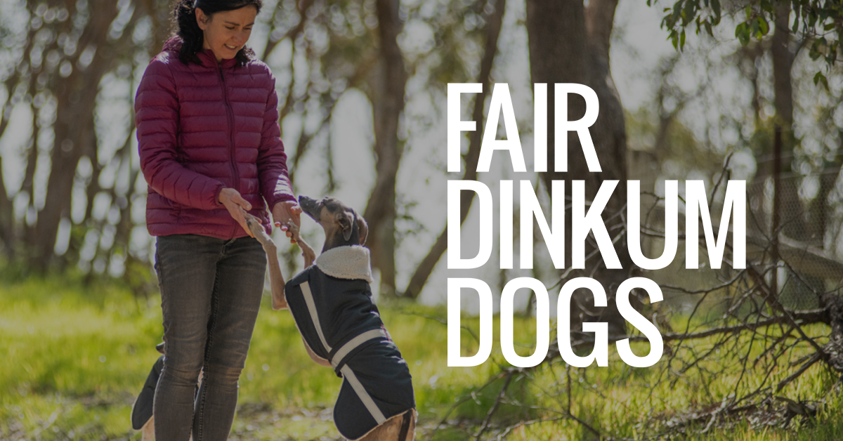 Australian Fair Dinkum Dog Coats and Accessories Fair Dinkum Dogs